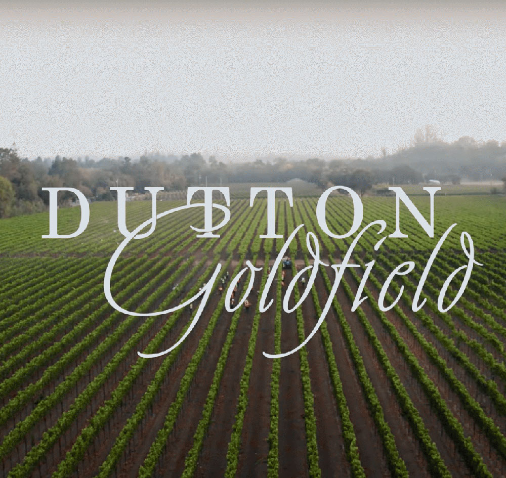 Dutton-Goldfield - Stories